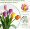 12-Pack Mixed Color Real Touch Latex Tulips – Lifelike Faux Flowers with Large Full Buds for Spring Weddings, Home Décor, Tables & Party Centerpieces